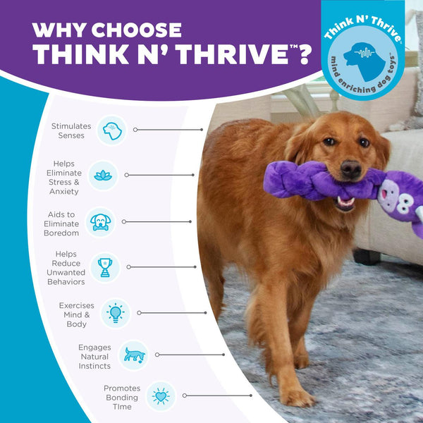 Outward Hound Nina Ottosson Twistiez Interactive Treat Puzzle Plush Dog Toy, Purple