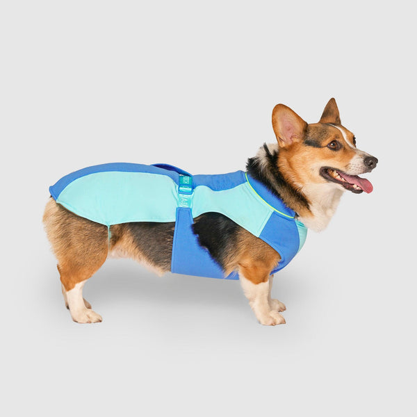 Canada Pooch Max Chill Cooling Vest for Dogs, Blue