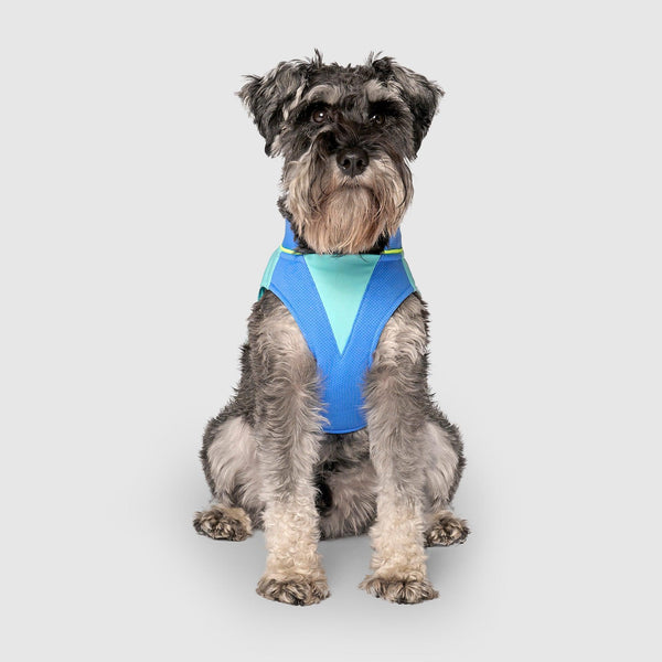 Canada Pooch Max Chill Cooling Vest for Dogs, Blue