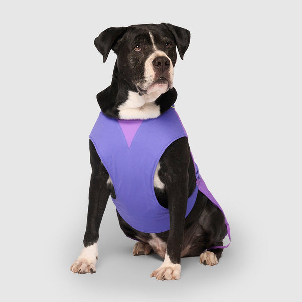 Canada Pooch Max Chill Cooling Vest for Dogs, Purple