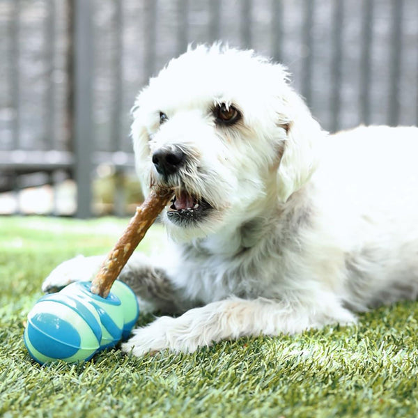 Guru Pet Jouet pour chien Super Stick