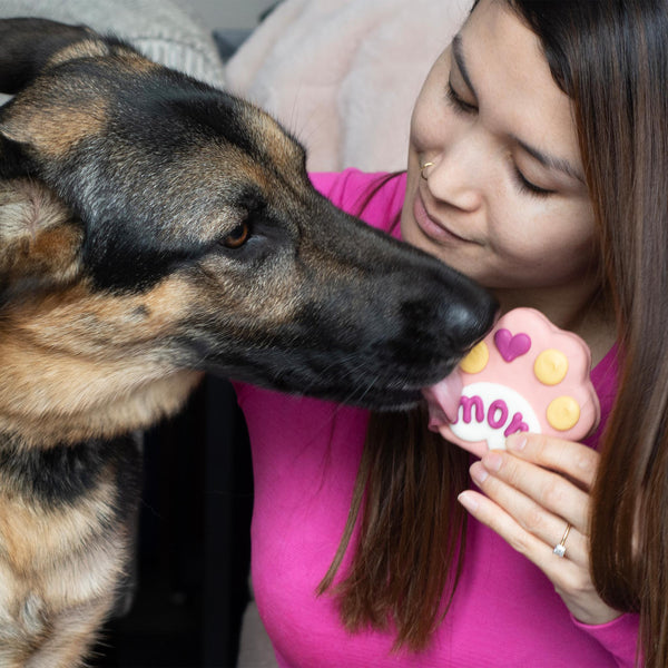 Bosco & Roxy's Friandises pour chiens Mom Paw