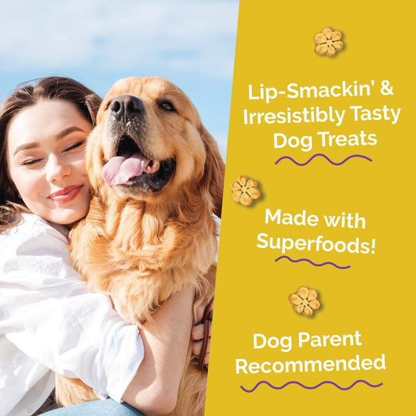 Fruitables Pumpkin & Banana Dog Treats
