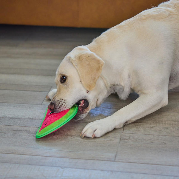 Outward Hound Tough Skinz Jouet pour chien Pastèque, Rouge