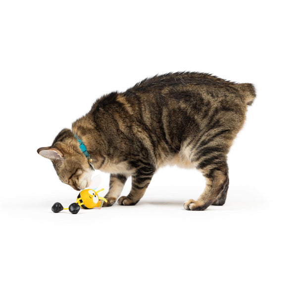 Huxley & Kent Jouet chat Chirpy Bourdon
