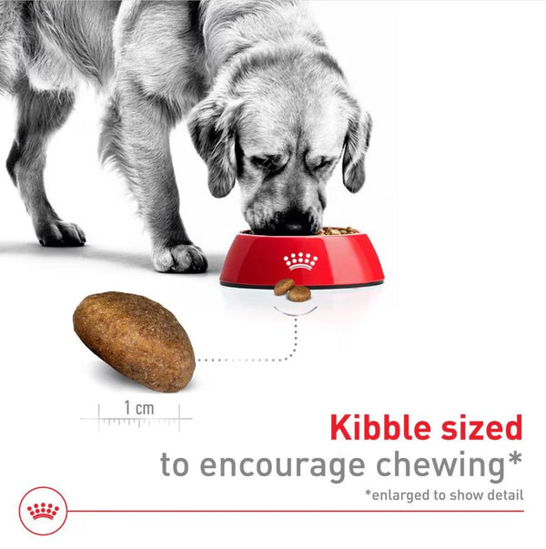 Royal Canin Size Health Nutrition Large Breed Adult Dry Dog Food