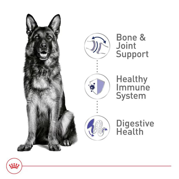Royal Canin Size Health Nutrition Large Breed Adult Dry Dog Food