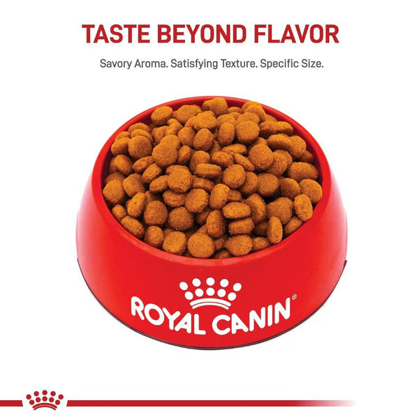 Royal Canin Size Health Nutrition Large Breed Adult Dry Dog Food