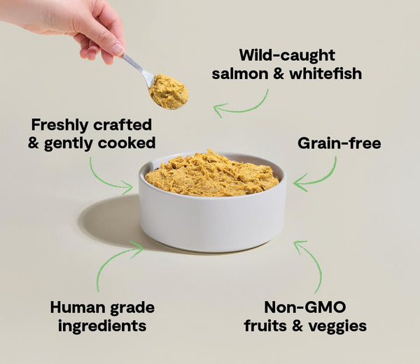 Open Farm Gently Cooked Wild-Caught Fish Grain-Free Frozen Dog Food