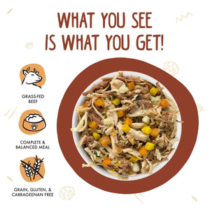 Weruva Classic Dog Wok The Dog with Chicken, Beef & Pumpkin in Gravy Wet Dog Food Can