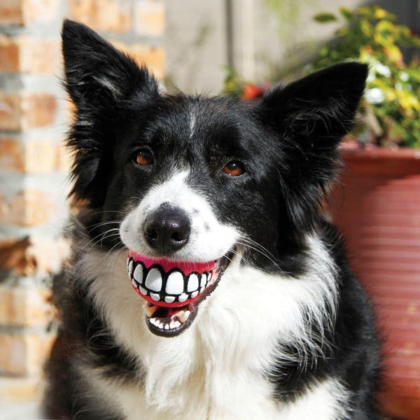 KONG Grinz Ball Jouet pour chien, grand