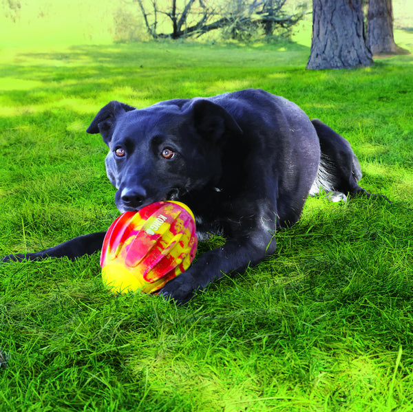 KONG Flexball Sport Football Dog Toy