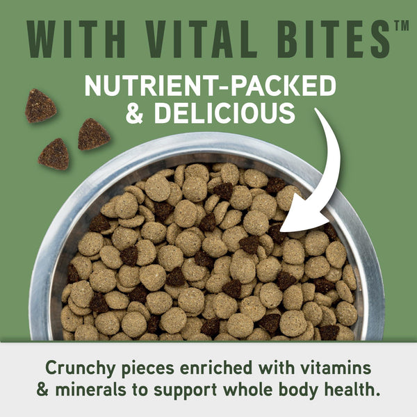 Natural Balance Specialized Nutrition Digestive & Immune Lamb & Oatmeal Dry Dog Food
