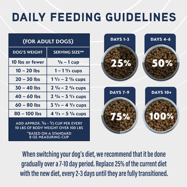 Natural Balance Specialized Nutrition Digestive & Immune Lamb & Oatmeal Dry Dog Food