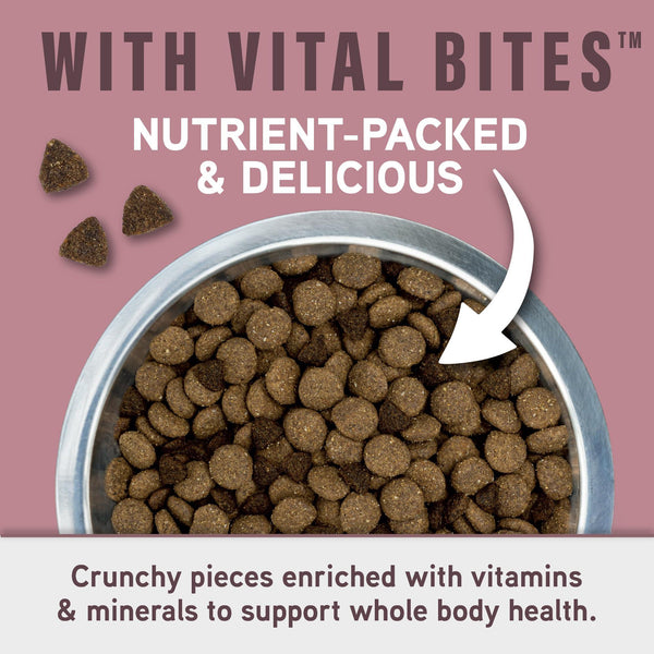 Natural Balance Specialized Nutrition Sensitive Skin & Stomach Salmon & Oatmeal Dry Dog Food