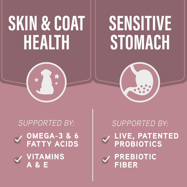 Natural Balance Specialized Nutrition Sensitive Skin & Stomach Salmon & Oatmeal Dry Dog Food
