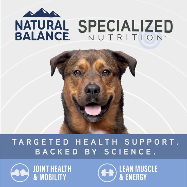 Natural Balance Specialized Nutrition Joint & Muscle Chicken & Brown Rice Wet Dog Food Can