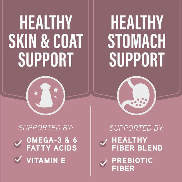 Natural Balance Specialized Nutrition Sensitive Skin & Stomach Salmon & Brown Rice Wet Dog Food Can