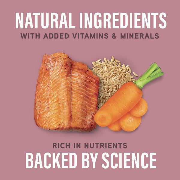 Natural Balance Specialized Nutrition Sensitive Skin & Stomach Salmon & Brown Rice Wet Dog Food Can