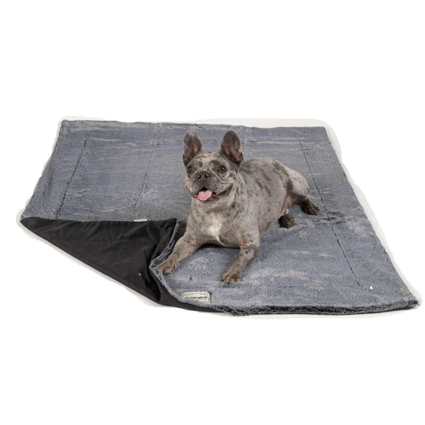 Dog Gone Smart Itchy Witchy Dog Blanket, Black