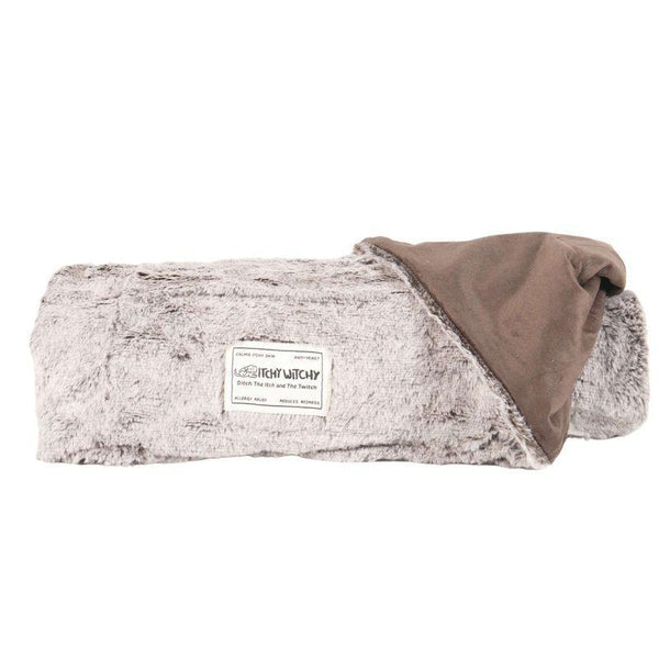 Dog Gone Smart Itchy Witchy Dog Blanket, Chocolate Truffle