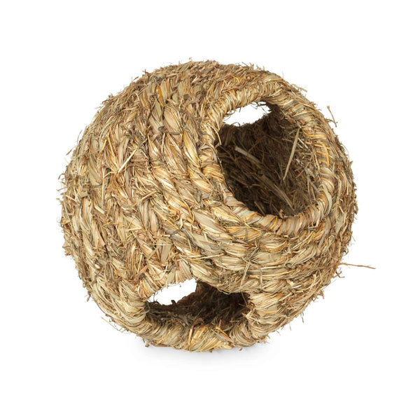 Prevue Pet Products Grass Ball Small Animal Toy, Medium