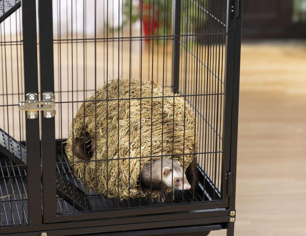 Prevue Pet Products Grass Ball Small Animal Toy, Large