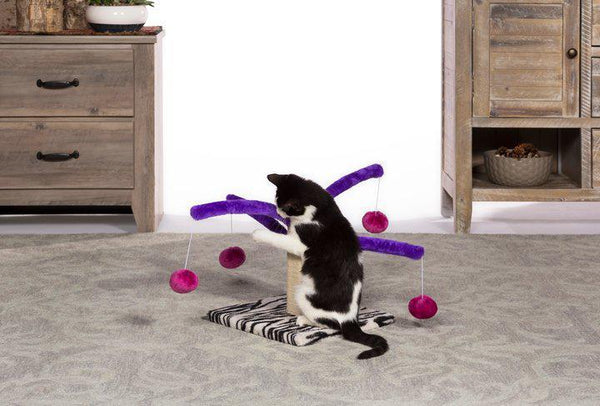 Prevue Pet Products Bounce 'n Spring Cat Scratching Post
