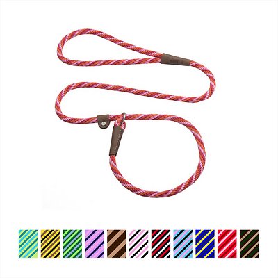 Mendota Pet Small Slip Striped Dog Leash
