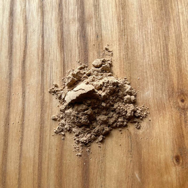 Blends for Life Mushroom Fourmix Dog & Cat Supplement