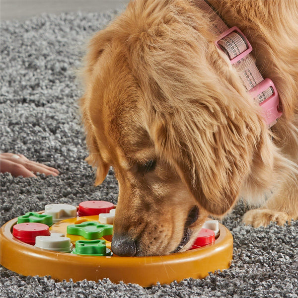 Brightkins Pizza Party Treat Puzzle Dog Toy