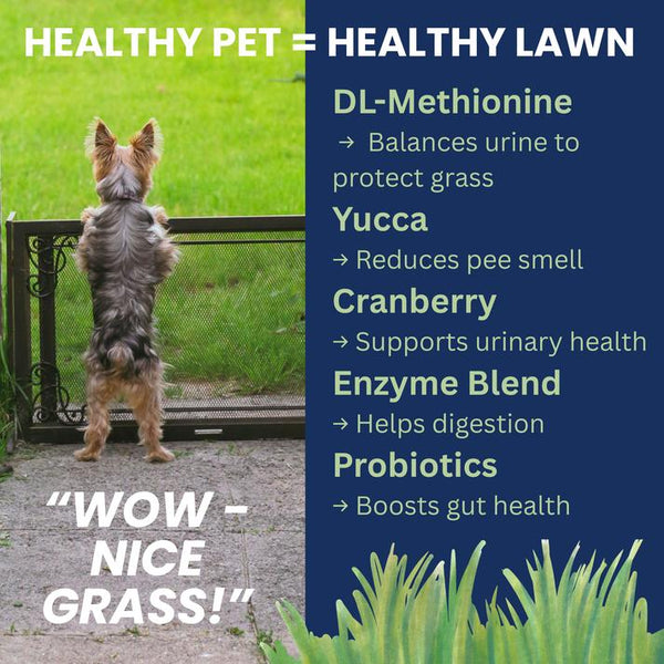 Under the Weather Nice Grass Urine Neutralizer Soft Chews for Dogs