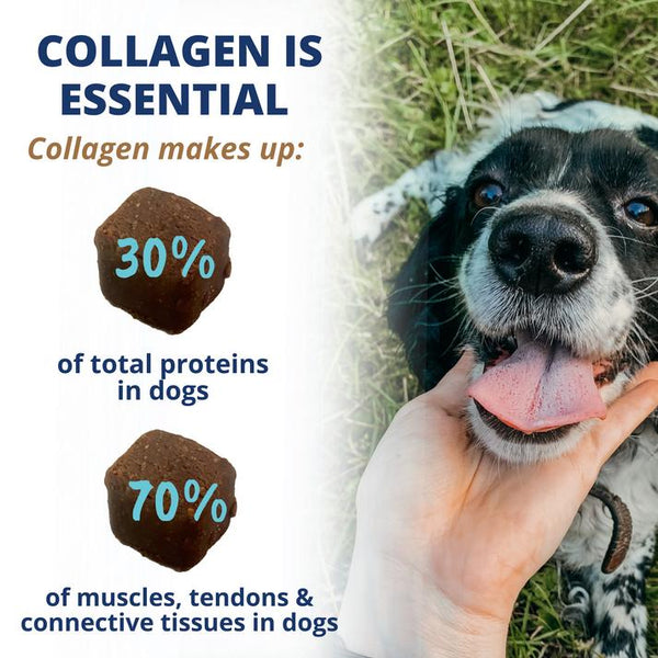 Under the Weather Collagen Soft Chews for Dogs