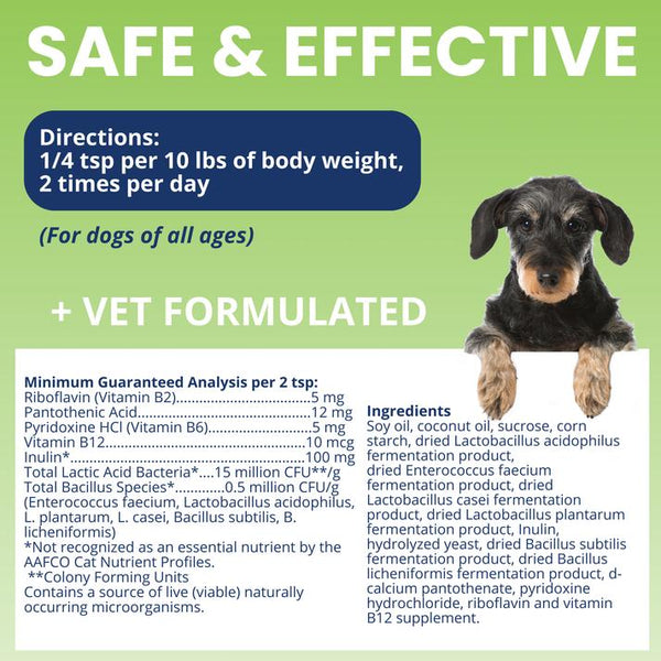 Under the Weather Ready Balance Probiotic Gel Squeezable Dog Supplement