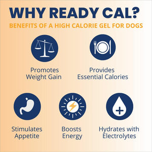 Under the Weather Ready Cal PLUS Electrolytes Squeezable Dog Supplement