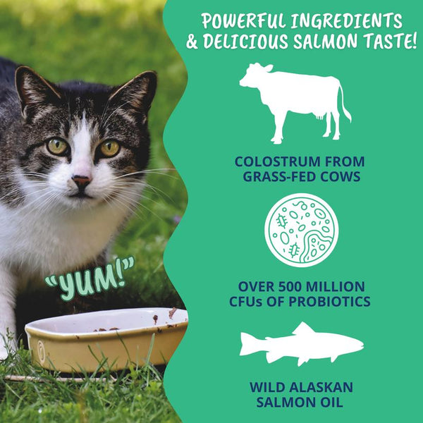 Under the Weather Vital Colostrum Gel Squeezable Cat Supplement