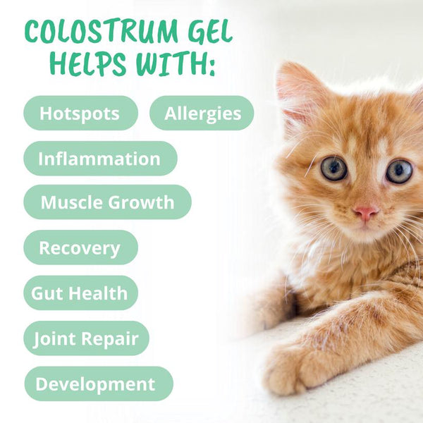 Under the Weather Vital Colostrum Gel Squeezable Cat Supplement