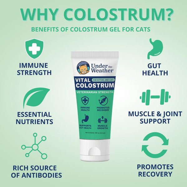 Under the Weather Vital Colostrum Gel Squeezable Cat Supplement