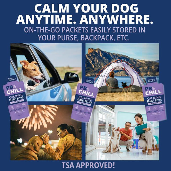 Under the Weather PB&Chill Calming Peanut Butter Pouch for Dogs