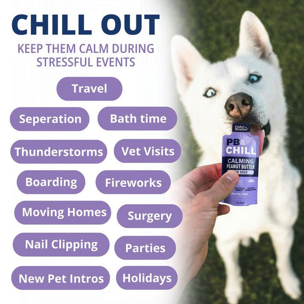 Under the Weather PB&Chill Calming Peanut Butter Pouch for Dogs