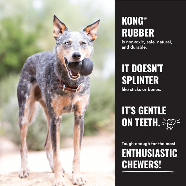 KONG Extreme Goodie Bone Dog Toy