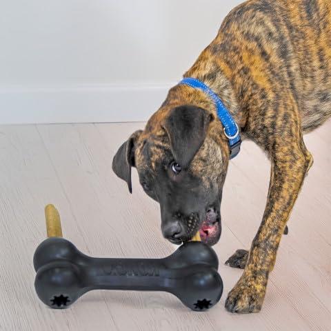 KONG Extreme Goodie Bone Dog Toy