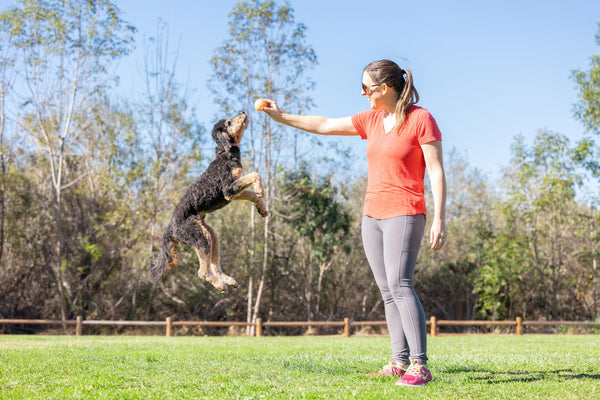 Chuckit! Birthday Fetch Ball Dog Toy