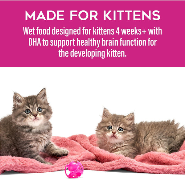 Tiki Cat Baby Pate Variety Pack Kitten Wet Cat Food Can