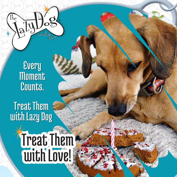 The Lazy Dog Cookie Co. The Original Pup-PIE Happy Adoptiversary Dog Treats