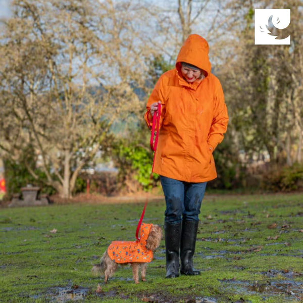 RC Pets Packable Rain Dog Poncho, Raining Cats & Dogs