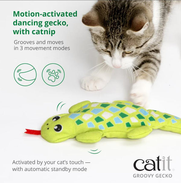 Catit Groovy Gecko Motion-Activated Cat Toy