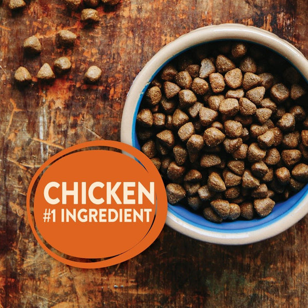 Wellness CORE Grain-Free Puppy Chicken & Turkey Dry Dog Food