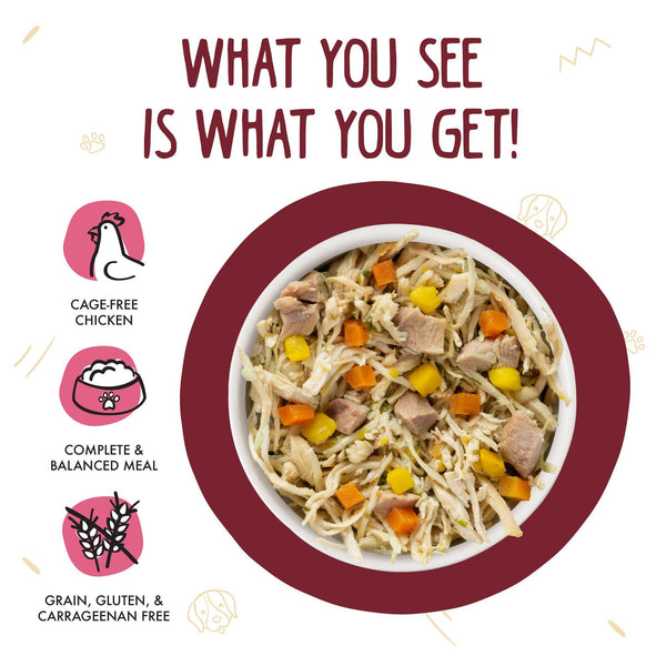 Weruva Classic Dog Peking Ducken with Chicken & Duck in Gravy Wet Dog Food Can