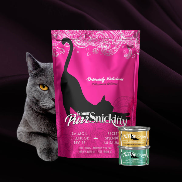 Fromm PurrSnickitty Salmon Splendor Dry Cat Food
